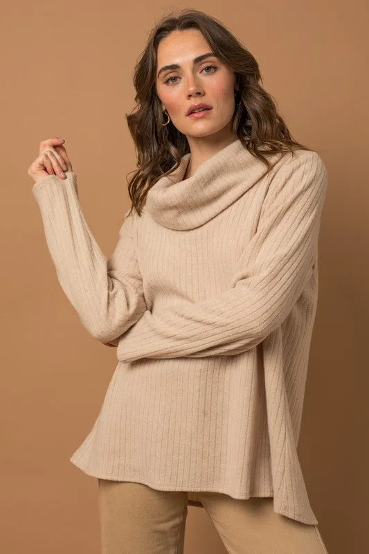 Long Sleeve Turtle Neck Top